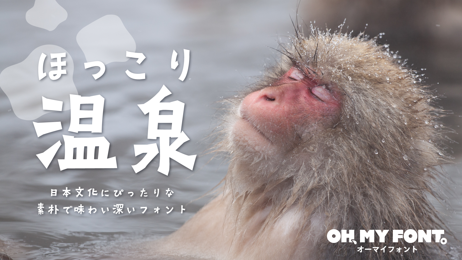 OMF-椿 F2 Regular