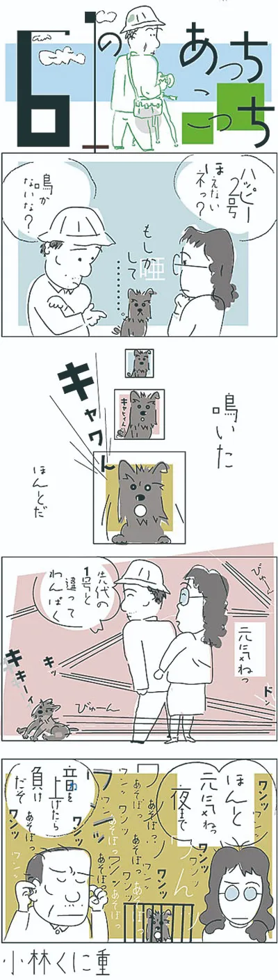 導入事例
